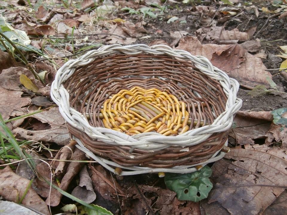 Un cesto tondo dal bordo chiaro tra le foglie secche d'autunno