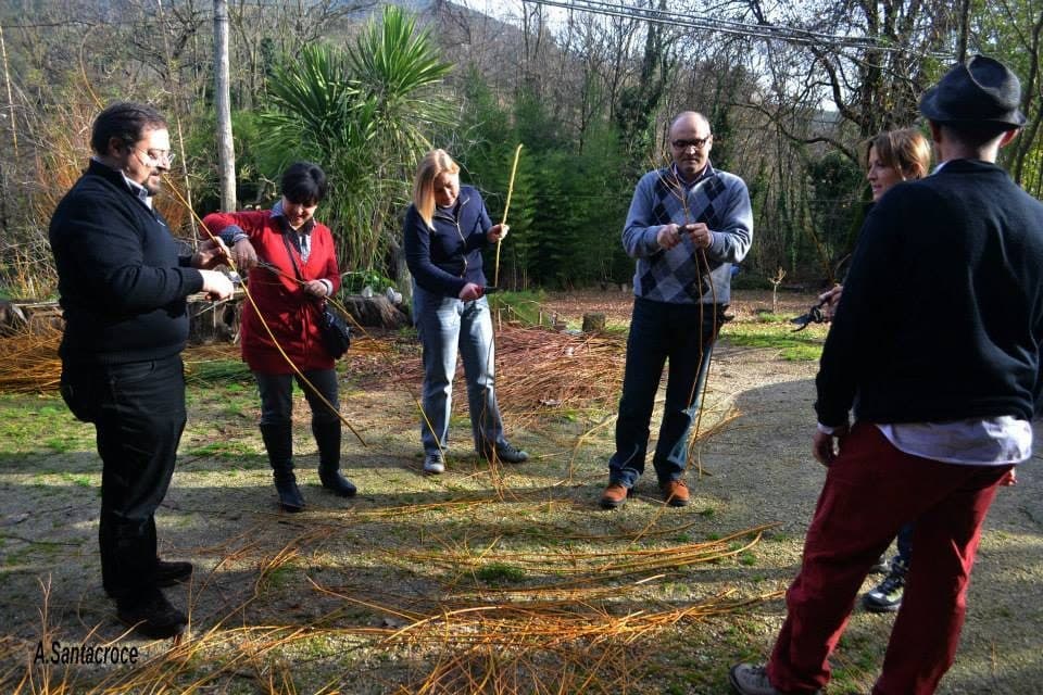 Un gruppo di persone impara a intrecciare all'aperto, con i rami di salice in mano